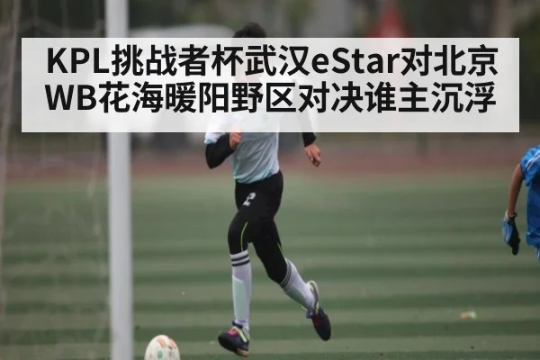 KPL挑战者杯武汉eStar对北京WB花海暖阳野区对决谁主沉浮 - KAIYUN SPORTS